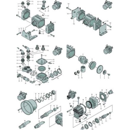 Annovi Reverberi Öl-Stecker+O-Ring