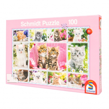 Schmidt Puzzle, Koťata, 100 dílků