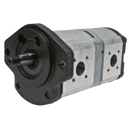 Bosch/Rexroth Převodové čerpadlo, dvojité | 7700013742, 7700706110, 35281566 Bendix